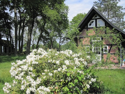 Kleines Backhaus auf dem Lande