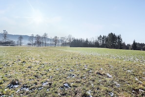 Sekalaista