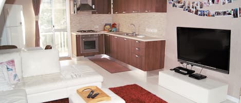 Living Kitchen Area