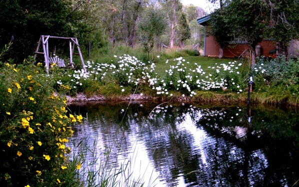 Boendeområde