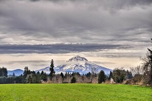 Mt Hoot Views