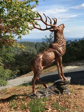 Welcome to Elk Ridge! Our mascot