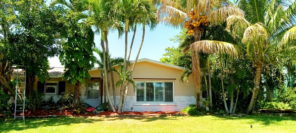Front of property. Rental w/ private entrance around back. Solar water panel.