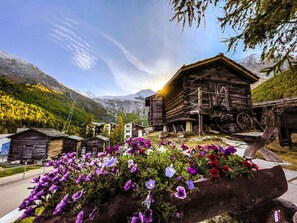 Fleur, Plante, Nuage, Ciel, Bâtiment, Montagne, Paysage Naturel, Bois, Végétation, Maison