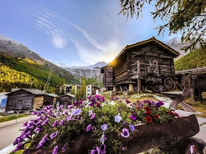 Fleur, Plante, Nuage, Ciel, Bâtiment, Montagne, Paysage Naturel, Bois, Végétation, Maison