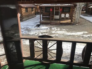 Boendeområde