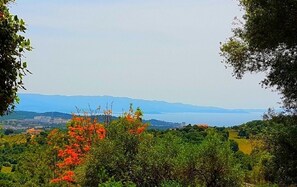 sea, mountain, countryside... and sun