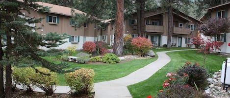 courtyard