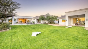 Grass backyard