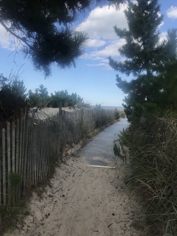 Welcome to Carolina Street Beach!