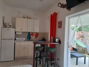 Tropical Gecko Studio