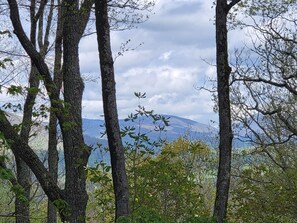 Spring View 2025