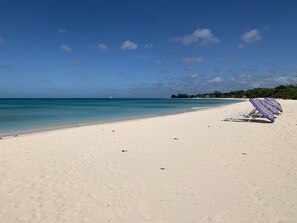 Brighton & Brandon's Beach.