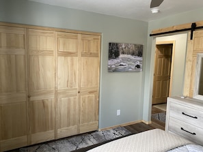 Master Bedroom closets