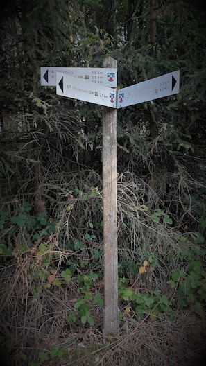 Vandring