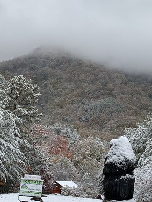 Different view from cabin