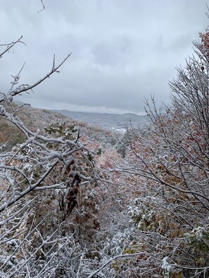 View from deck