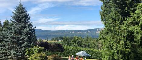 Your View over the Cowichan Valley.