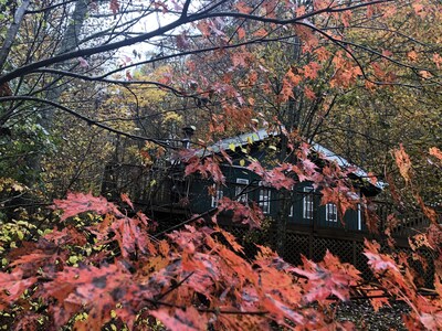 Falling%20Leaf%20Cabin%20-%20a%20true%20cabin%20in%20the%20woods%20in%20a%20private%20setting%20-%20%20Cullowhee