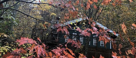 Beautiful fall color in October, it is named Falling Leaf Cabin for a reason 