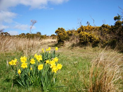 Cullintra House - country escape CHRISTMAS AND NEW YEAR AVAILABLE !