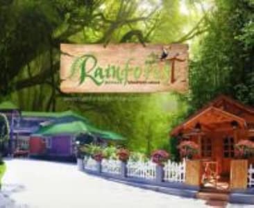 Rainforest Munnar Orchard - Resort