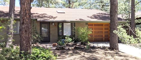 Mature landscaping with tall pine trees.