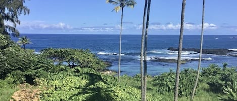 View from lanai; walk out the door to swim or wade in the reef 'pond'.
