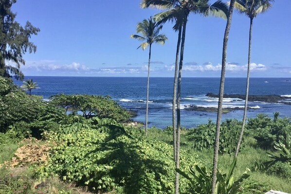 View from lanai; walk out the door to swim or wade in the reef 'pond'.
