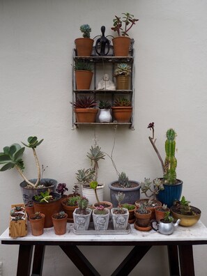 Detalle del interior