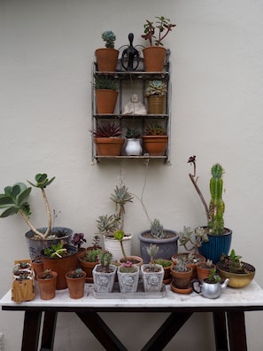 Detalle del interior