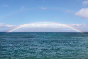 Rainbows, sunsets, whale watching and sea turtles are all here waiting for you