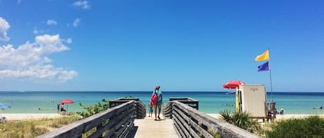 Enjoy your day at Honeymoon Island. The entrance is $8 per car.