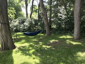 Hammock in back yard