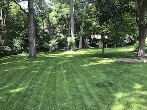 Private Wooded Backyard with plenty of lawn space