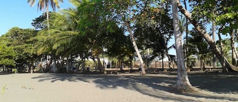 Beach in front of the Condominium