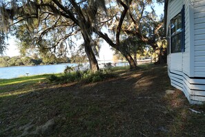 back yard