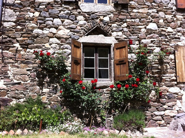 Exterior detail
