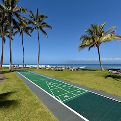 Papakea L303 shuffleboard 1