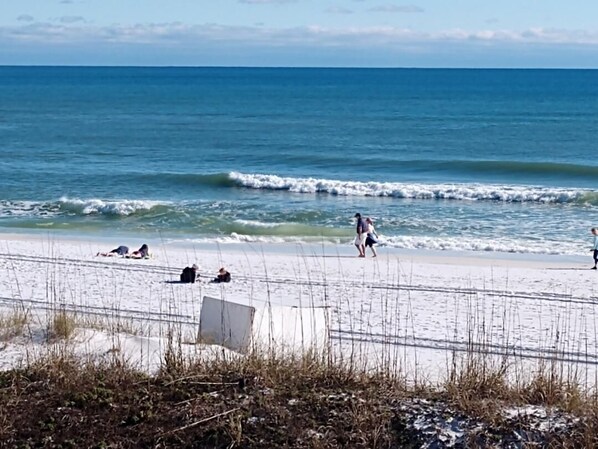 The Gulf  and the beach. People tanning in February.