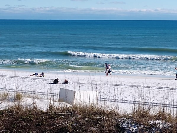 The Gulf and the beach. People tanning in February.