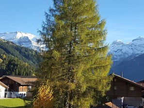 Sky, Plant, Mountain, Snow, Natural Landscape, Larch, Tree, Window, Biome, Evergreen