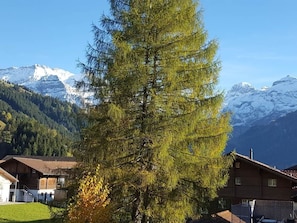 Himmel, Pflanze, Berg, Schnee, Natürliche Landschaft, Lärche, Baum, Fenster, Biome, Immergrün