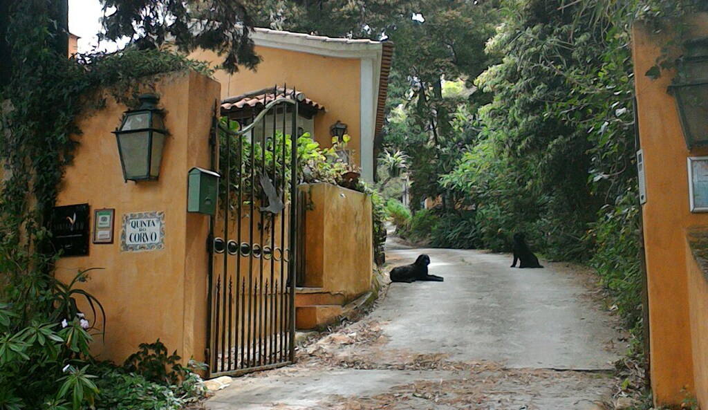 Picture of villa