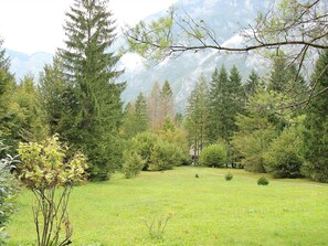 Baum, Natürliche Landschaft, Natur, Natürlichen Umgebung, Vegetation, Grün, Naturschutzgebiet, Wald, Biome, Grundstueck