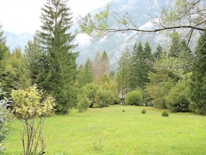 Tree, Natural Landscape, Nature, Natural Environment, Vegetation, Green, Nature Reserve, Forest, Biome, Land Lot