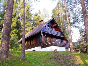 House, Property, Cottage, Log Cabin, Home, Tree, Building, Hut, Rural Area, Real Estate
