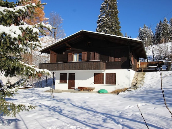 Snow, Property, Plant, Window, Sky, Tree, House, Slope, Building, Larch
