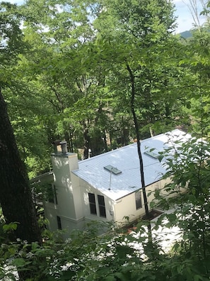 Set among the towering trees in Fenley Forrest.