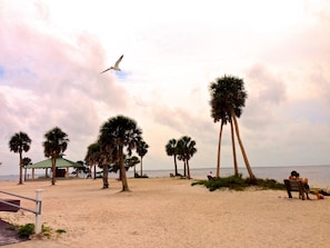 Picnic atSunset Beach 2 miles.  I really did not stage the lovers and the bird! 